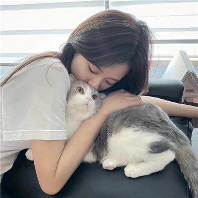 科洛弗档案
